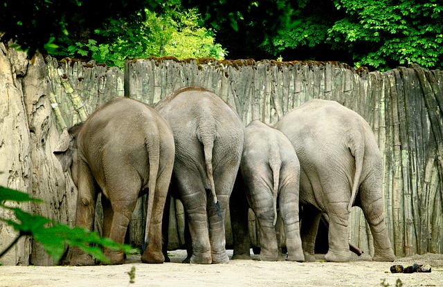 Топ-5 лучших упражнений для ягодиц и бедер: как получить идеальную форму